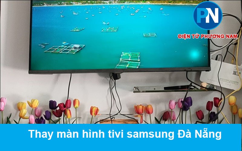 thay-man-hinh-tivi-samsung-dn